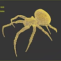 Close Up View Of Brown Spider With Spotted Round Body And Long Textured Legs