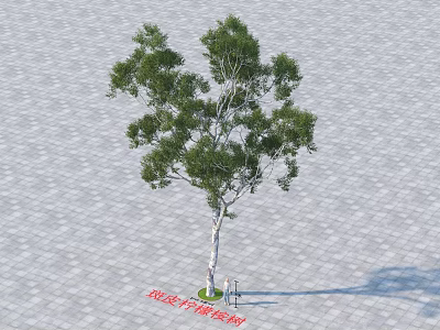 Arbor with Green Foliage and Light Colored Trunk on Paved Ground with Bench 3d model