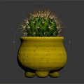 Green Spiny Cactus in Yellow Speckled Footed Pot against Dark Background