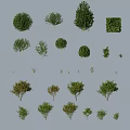 Diverse Tree Collection Showcasing Various Shapes Sizes and Foliage Characteristics 3d model
