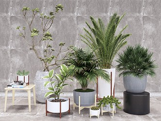 Modern potted plant potted plant combination 3d model