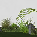 Lush Green Grass Garden With Large Rocks Ferns And Tall Plants