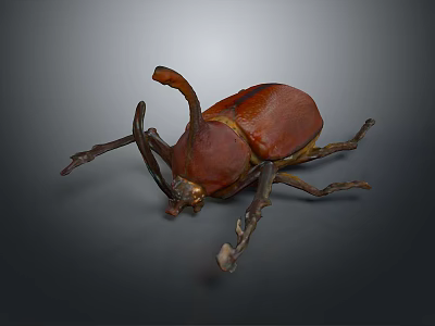 3D Rendered Brown Beetle With Long Horn And Detailed Legs On Gray Background 3d model