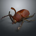 3D Rendered Brown Beetle With Long Horn And Detailed Legs On Gray Background