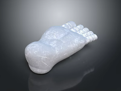 Realistic Human Foot Organ 3D Render With Textured White Surface And Reflective Dark Background 3d model