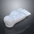 Realistic Human Foot Organ 3D Render With Textured White Surface And Reflective Dark Background