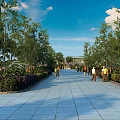 Beautiful Scenic Urban Public Park Promenade Lined With Lush Green Trees Under Bright Blue Sky