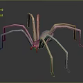 Realistic 3D Spider Model With Long Thin Legs And Detailed Brown Body