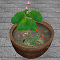 Garden Ornament With Terracotta Pot Lotus Leaves Flowers Goldfish Aquatic Plants On Gray Stone Tiles