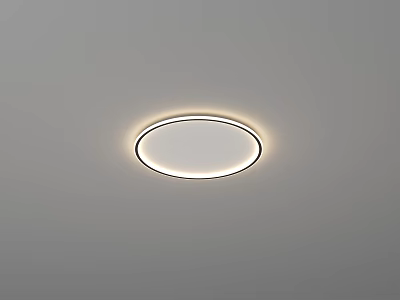 Modern Round Flush Mount Ceiling Light With Soft Illuminated Ring Design 3d model