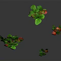 Strawberry Plants With Green Leaves And Red Fruits On Black Reflective Surface