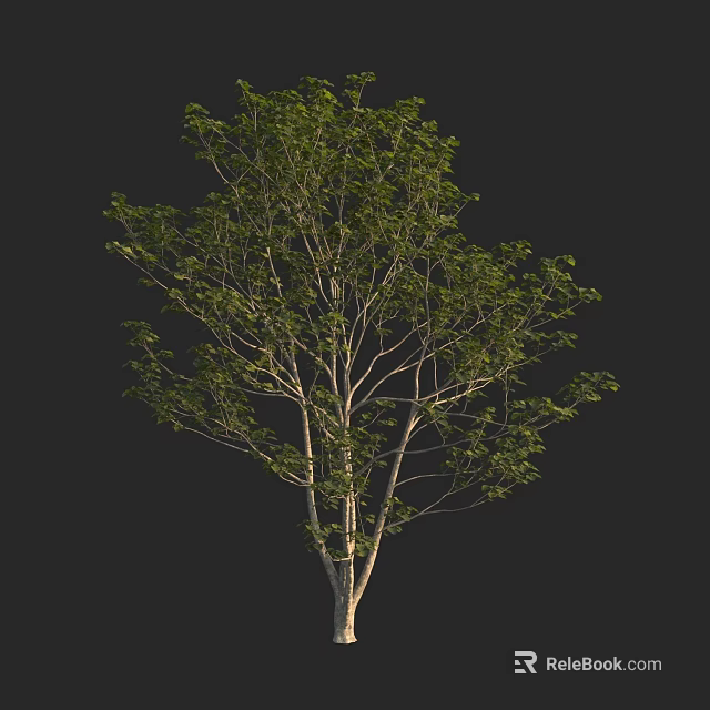 Lush Arbor with Green Leaves Strong Trunk and Natural Branch Structure 3d model 
