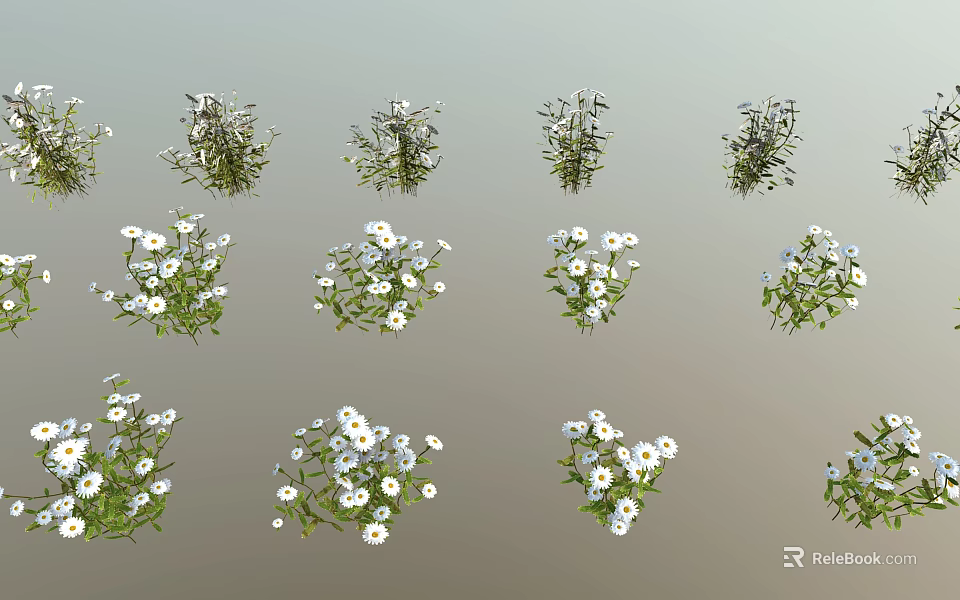 Diverse Green Plants With White Flowers Showcasing Fresh Foliage And Blooms 3d model 
