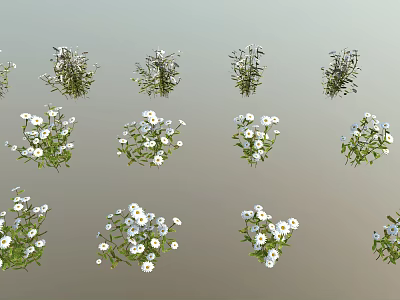 Diverse Green Plants With White Flowers Showcasing Fresh Foliage And Blooms 3d model