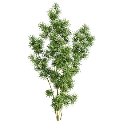 Modern tree dwarf irrigation reverse folding asparagus 3d model