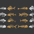 Golden And White Fish Skeletons Arranged In Pattern On Gray Background
