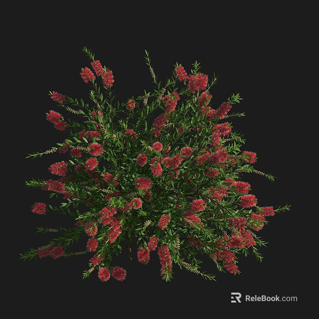 Lush Green Bush With Red Flowers And Dense Foliage In Garden Landscape 3d model 