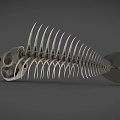 Medical Instrument Fish Skeleton Anatomical Model For Educational Display And Teaching