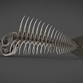 Modern Skeleton Fish Skeleton Fish Bone Fish Fossil Steel Fish Skeleton 3d model