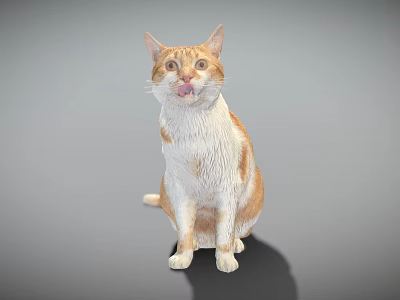 Playful Orange and White Cat Sitting with Tongue Out as Game and Movie Character 3d model