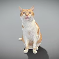 Playful Orange and White Cat Sitting with Tongue Out as Game and Movie Character