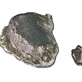 Scenic Landscape Featuring Shell Shaped Rock Formation With Green Vegetation And Smaller Companion Structure