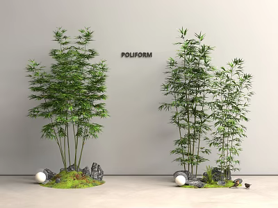 Decorative Bamboo Plants with Rocks Moss and White Spheres in Indoor Space 3d model