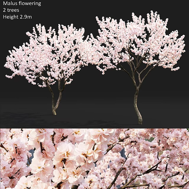 Decorative Ornament Combination Featuring Cherry Blossom And Pink Flowers For Home Decor 3d model 