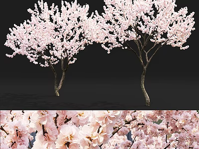 Decorative Ornament Combination Featuring Cherry Blossom And Pink Flowers For Home Decor 3d model