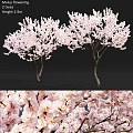 Decorative Ornament Combination Featuring Cherry Blossom And Pink Flowers For Home Decor