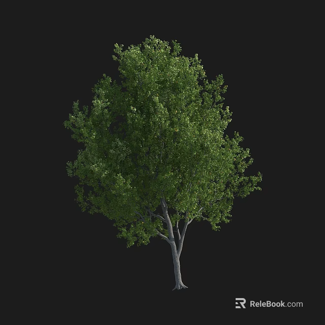 Lush Arbor Tree With Vibrant Green Leaves And Gray Trunk 3d model 