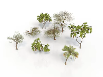 Various Types of Trees with Green Leaves and Leafless Branches on White Background 3d model
