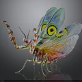 Colorful Mantis With Vibrant Wings And Eye Patterns On Black Background