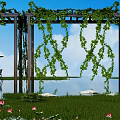 Pergola Covered With Green Vines Against Blue Sky Over Grass And Lotus Flowers