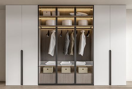 Modern wardrobe 3d model