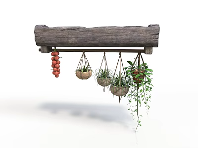 Wooden Hanging Shelf With Potted Plants And Red Fruits For Home Decor 3d model