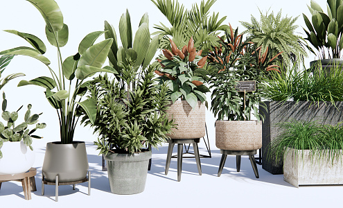 modern potted plant green plant potted plant 3d model