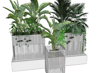 Bonsai Potted Plants With Tropical Foliage Palm And Vines In White Striped Planters 3d model