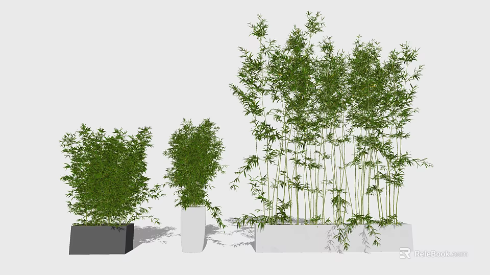 Decorative Bonsai Plants Of Various Heights In Square Black And White Pots 3d model 