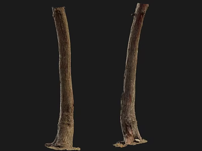 Raw Stone Wood Tree Trunks With Intact Root Systems For Decoration 3d model