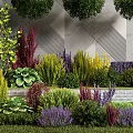 Colorful Shrubs in Modern Garden Landscape with Green Red Purple Yellow Foliage and Gray Wall