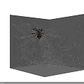 Spider Resting On Intricate Spider Web In Corner With Detailed Silk Structure 3d model