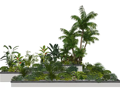 Bonsai Potted Plants Featuring Diverse Greenery Tropical Palms And Layered Arrangement 3d model