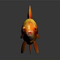 Orange Red Goldfish Featuring Shiny Scales Yellow Fins And Tail On Dark Background