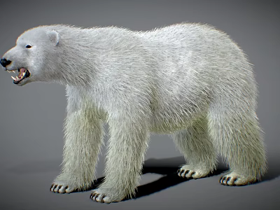 Reptile Lizard With Scaly Skin Climbing On Tree Trunk In Natural Habitat 3d model