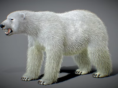 Reptile Lizard With Scaly Skin Climbing On Tree Trunk In Natural Habitat 3d model