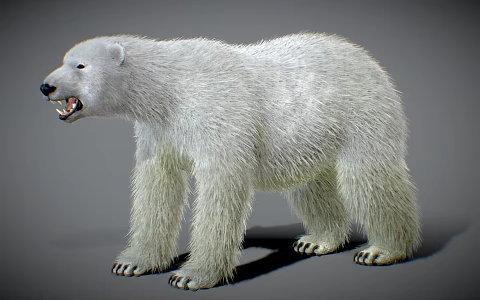 Modern polar bear 3d model