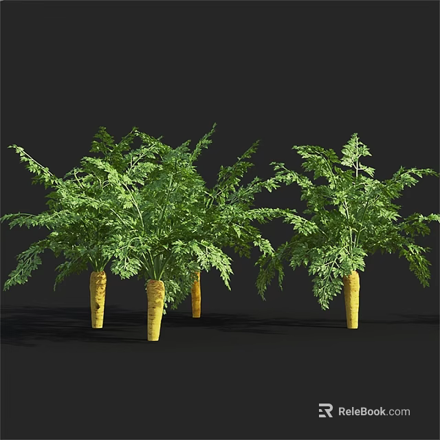 Tall Fresh Carrot Plants With Lush Green Leaves And Yellow Roots 3d model 