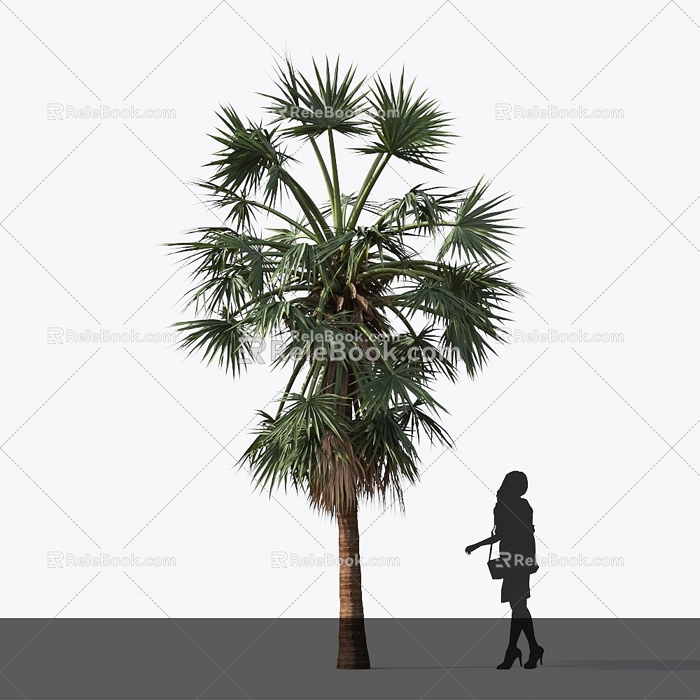 Modern Palm Tree Sugar Brown Landscape Tree 3d model