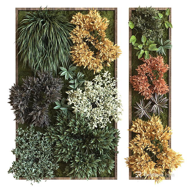 Green Plant Wall Design With Various Colorful Foliage And Layered Indoor Decor 3d model 